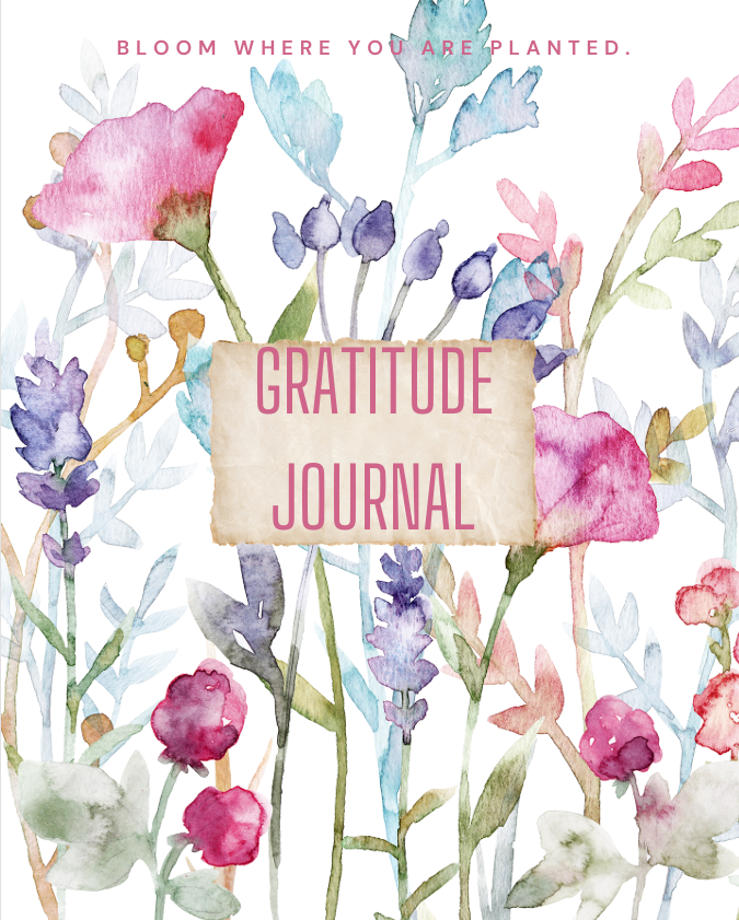 Gratitude Journal - 120 Days